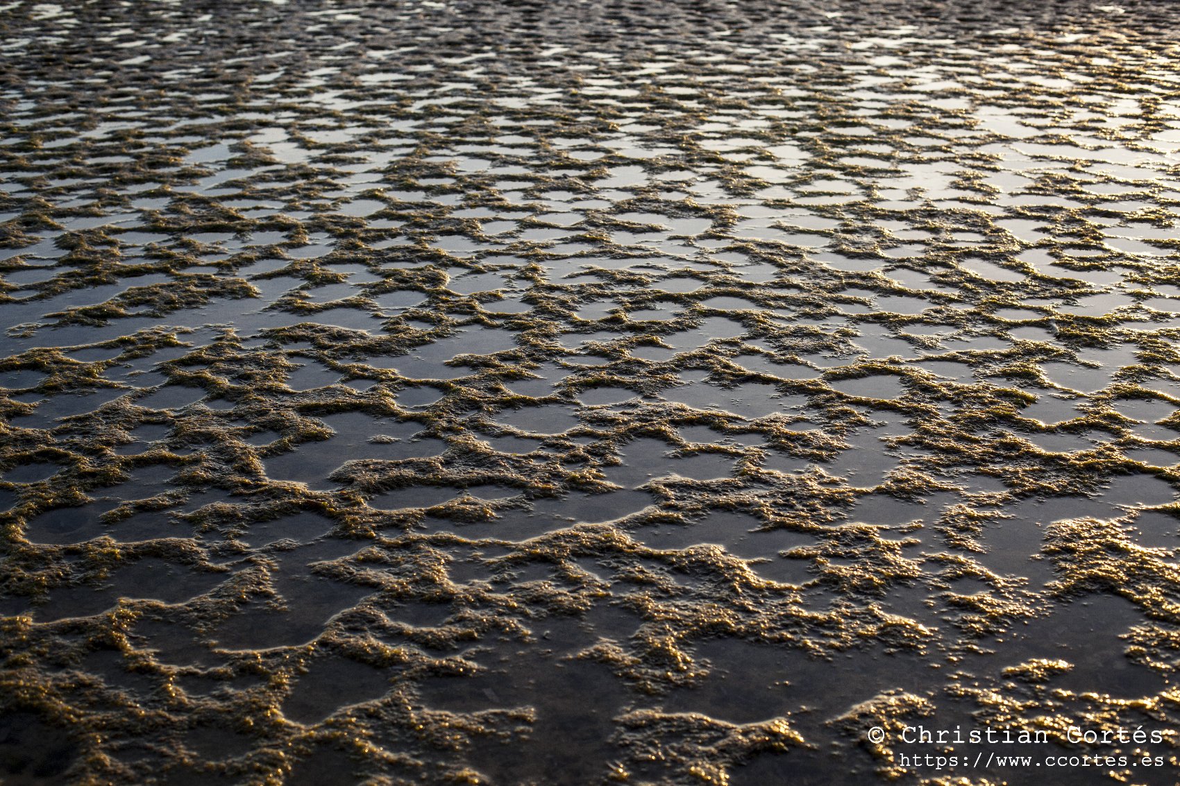 Atardecer Cabo Huertas 05